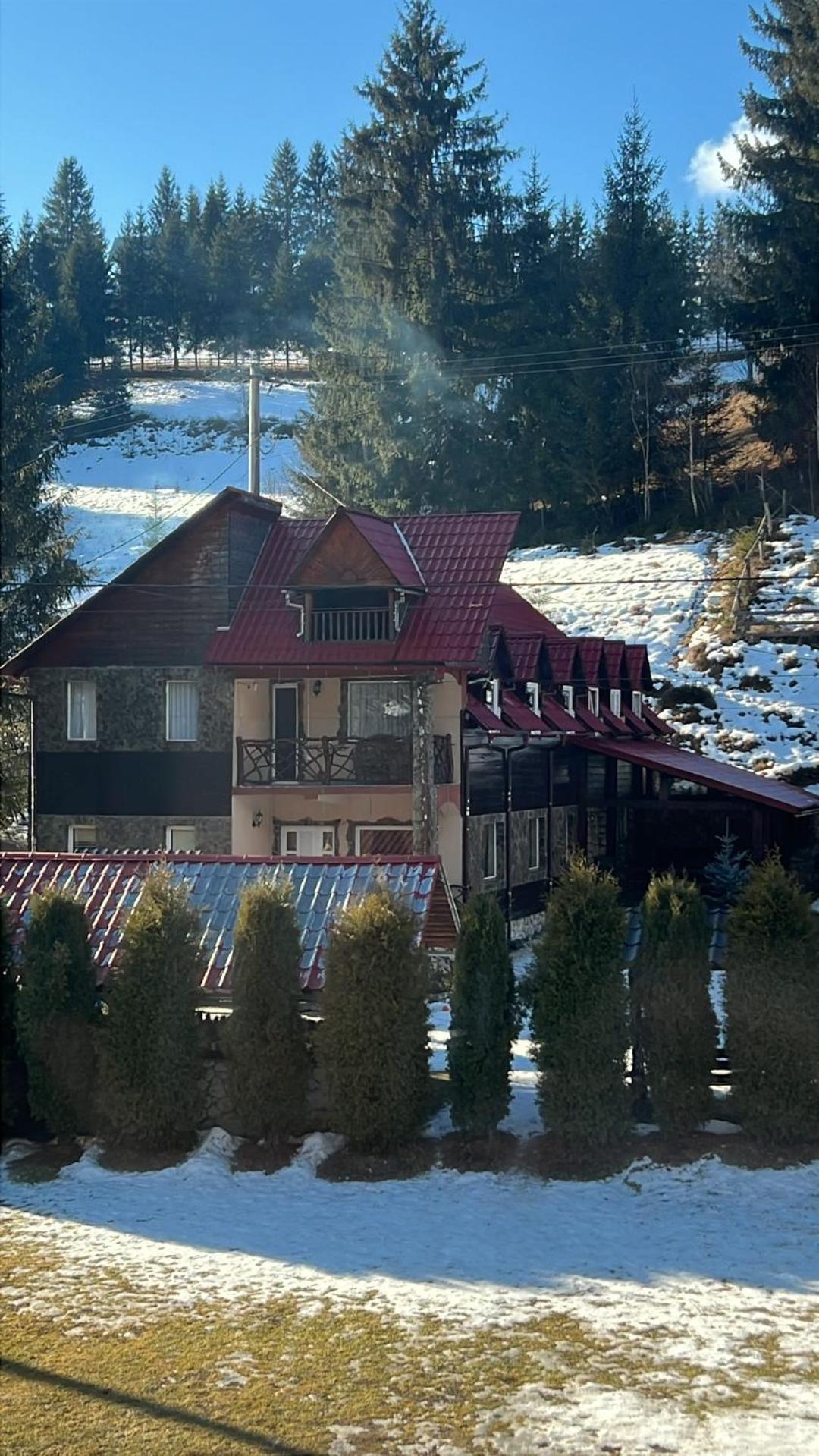 Vila Speranta Арьешени Экстерьер фото
